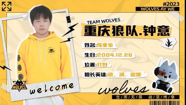 在篮网与太